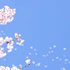 イベント