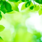 濱長流・土佐の観光紹介